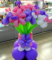 image (12)25